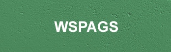WSPA Grad Students